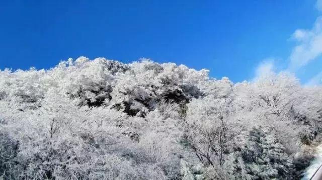 逃离废弃火车站
