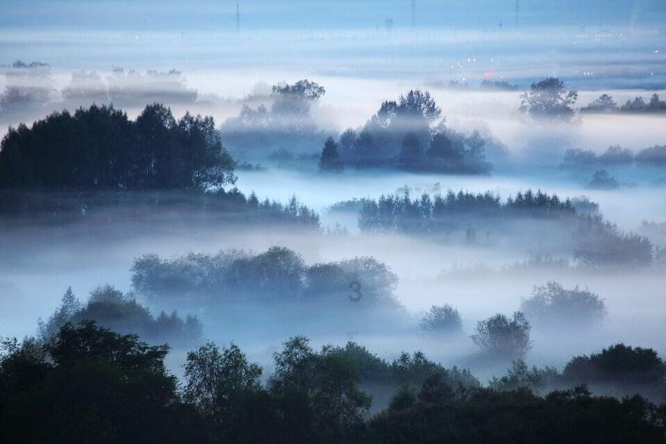 沪江开心词场