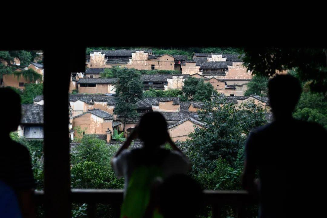 虫虫助手下载