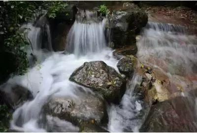 180余名非遗传承人“花式亮相”迎春节