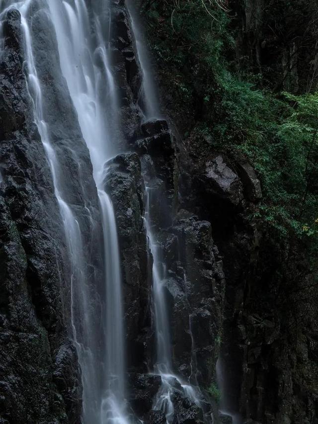 救援小蝙蝠