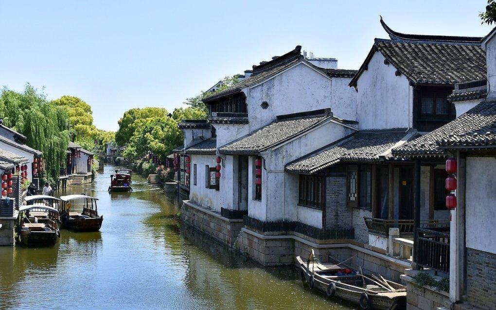 买不起盆景,我还不能自己动手做了(附图附心得)