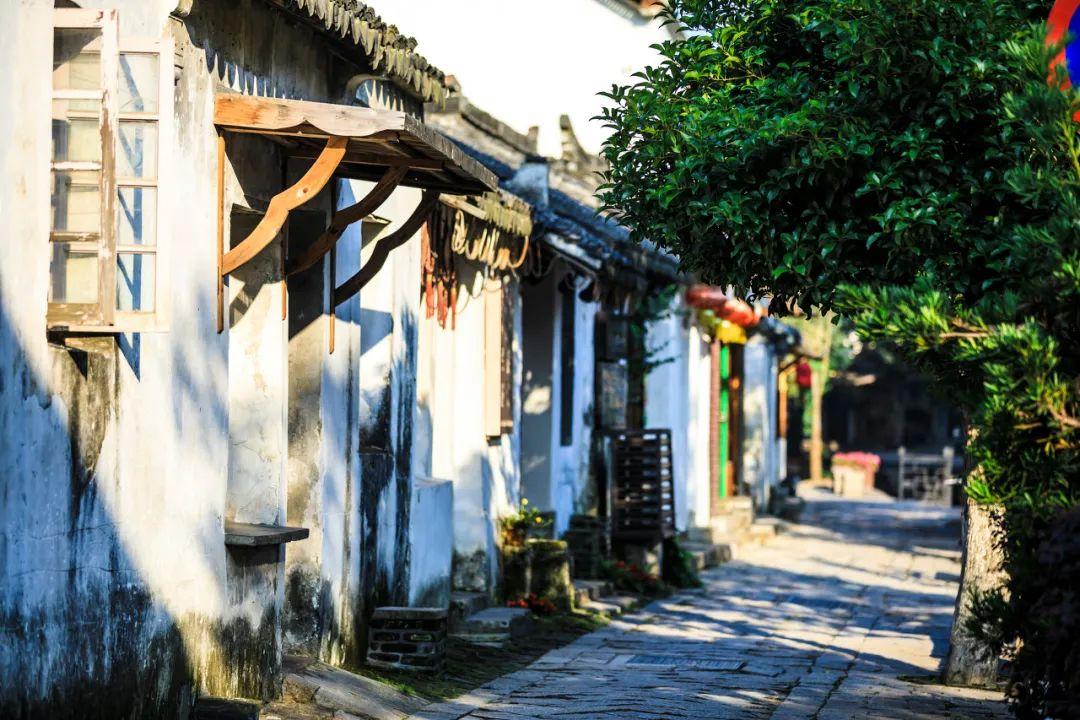 韶关武江:“百千万工程”热潮涌动 高质量发展步伐铿锵