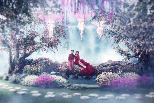救援怒吼的狮子
